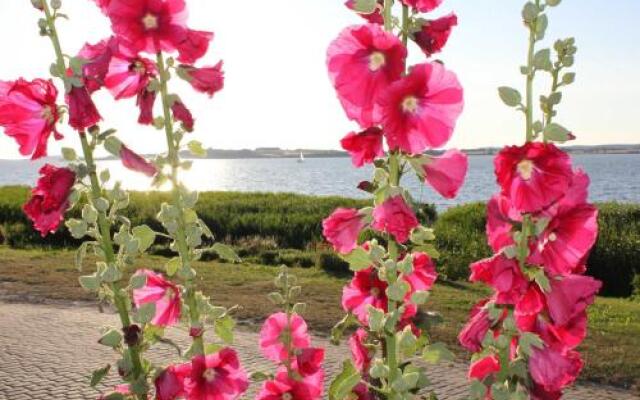 4 _ Sterne Ferienhaus Am Brink