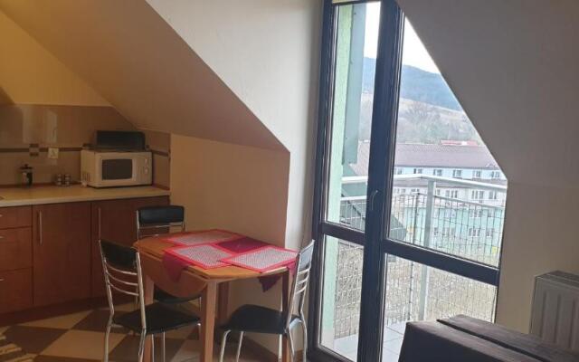 Apartamenty Krynica Zdrój