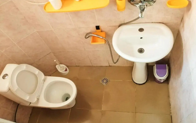 House at Shekvetili Beach