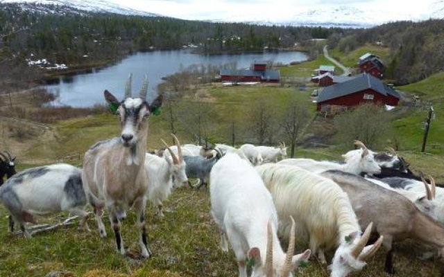 Sæterstad Gård