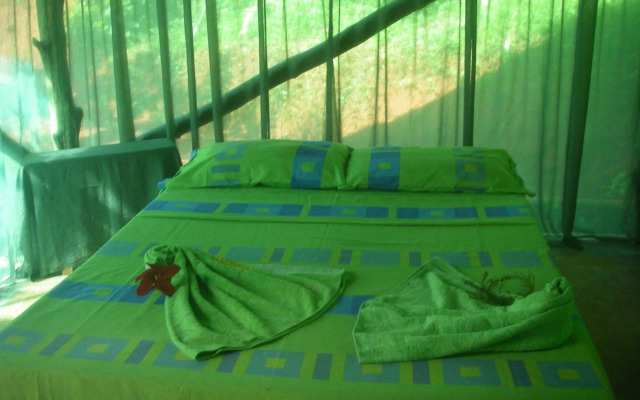 Isla Violin Eco Lodge
