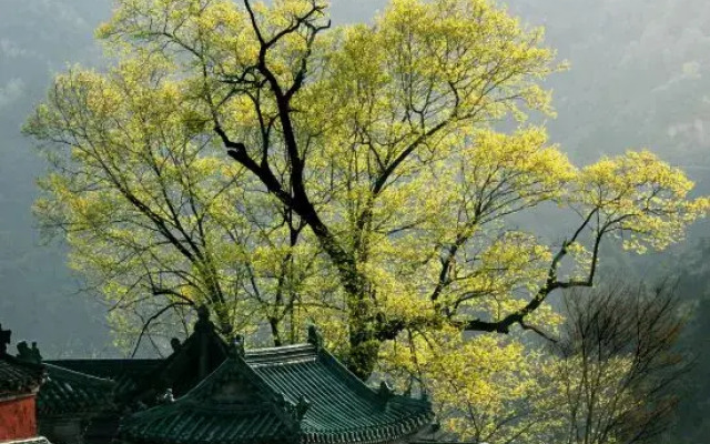 Yishanju Smart Hotel