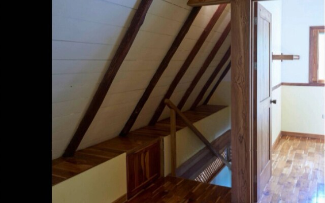 Jungle House- Natural Ocean View Cabin