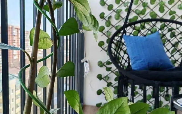 Апартаменты на улице Пискунова 138