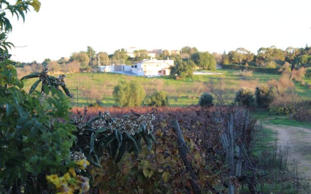 Wine House by Rental4all