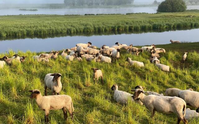 Wilsmann Apartmentvermietung