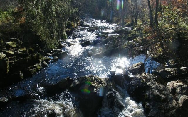 Ferienwohnung Rur-Partie