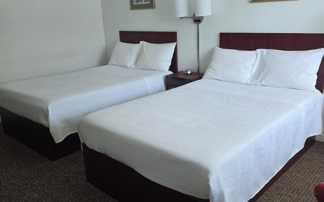 White Fang Motel