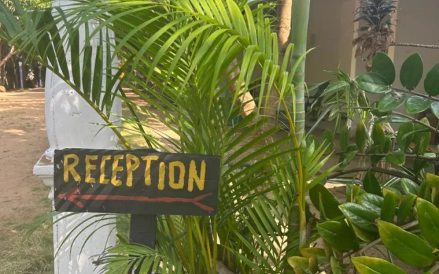 Starfish Beach Bungalows