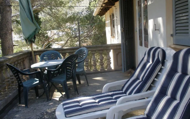 Apartment in Pollensa 100519