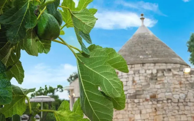 Trullo del Boschetto