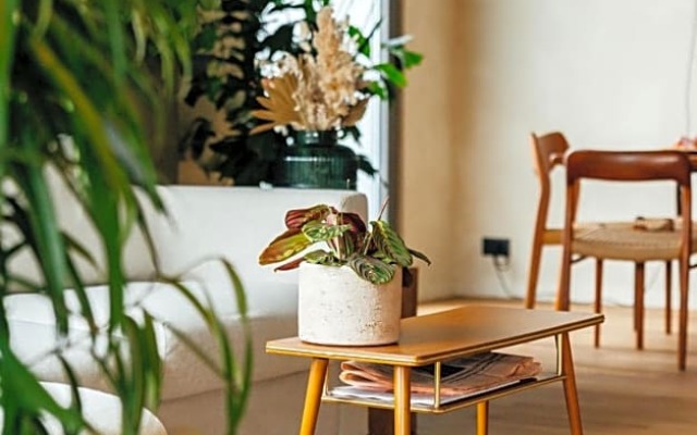 Chambre d'Amis by Alix