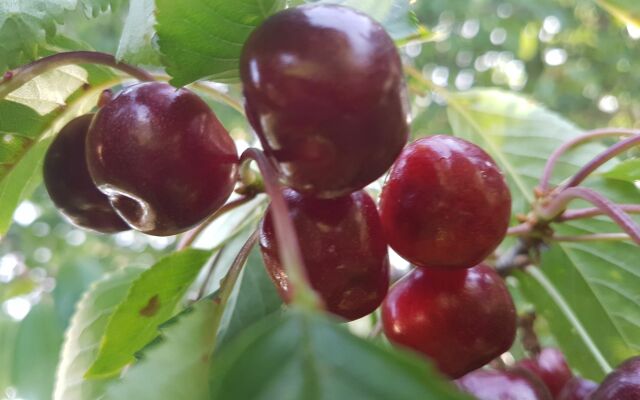 Villa Your Country Escape - Villa Your Country Esc