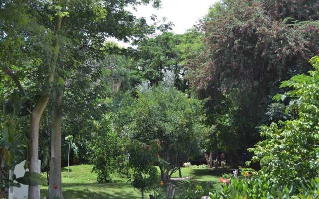Tambuti Lodge