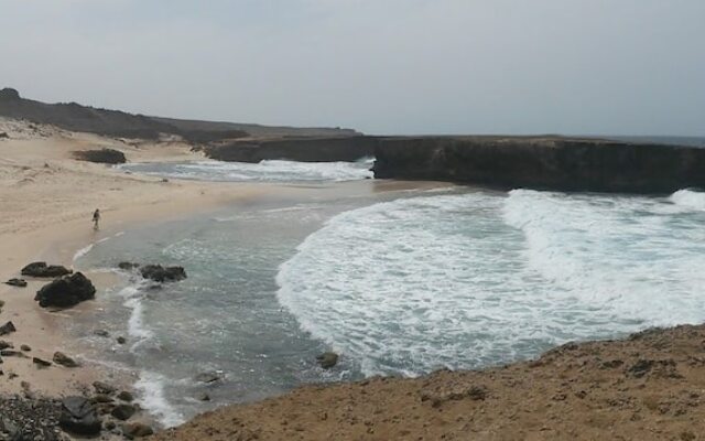 Eco Living Aruba