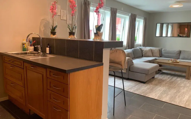 Notodden Sentrum Apartment NO 8