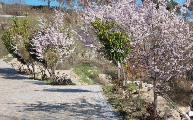 Barbecue | Private Garden | Parking | Serra da Estrela | MyStay