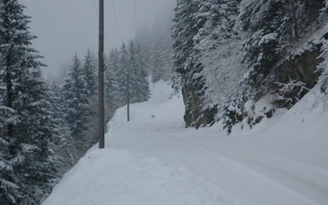 Hamsiköy Zitaş Bungalov & Restoran