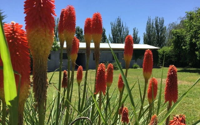 Tikaykilla Lodge & Wines