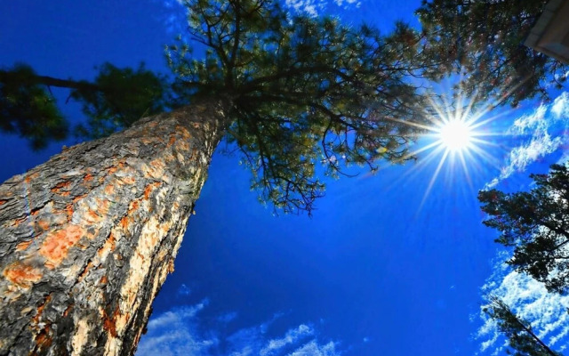 Rafter T Ranch House