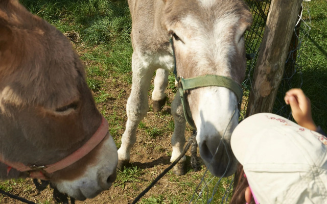 VVF Haute Loire Haute Ardèche, Tence
