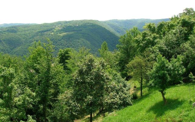 B&B Il Suono del Bosco