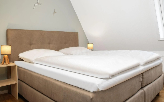 Haus Südwester Seeanemone