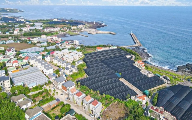 Jeju Sunflower Pension