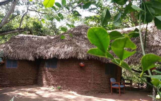 Selous Adili Forest Camp
