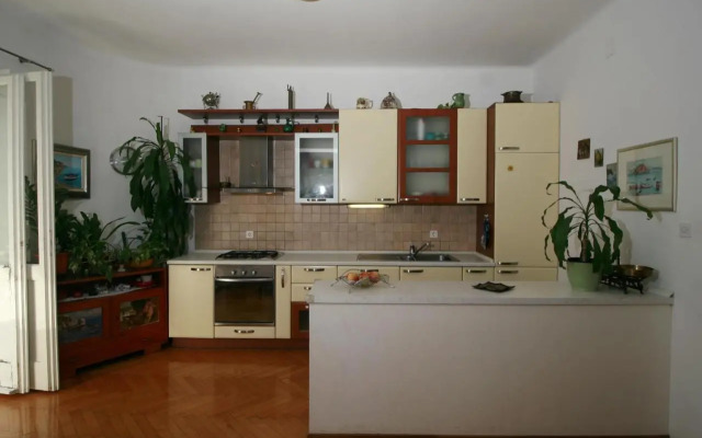 Spacious apartment in the center