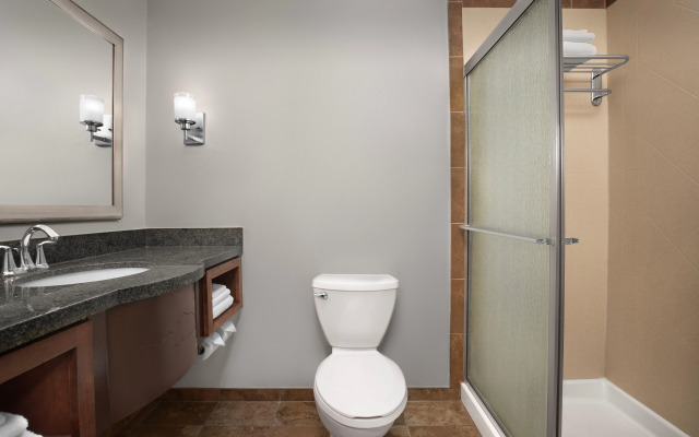 Holiday Inn Hotel & Suites Durango Downtown by IHG