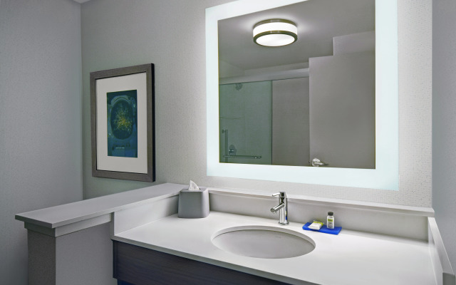 Holiday Inn Express Houston - Galleria Area by IHG