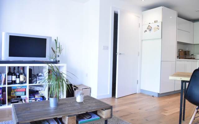 1 Bedroom Modern Flat in Central London
