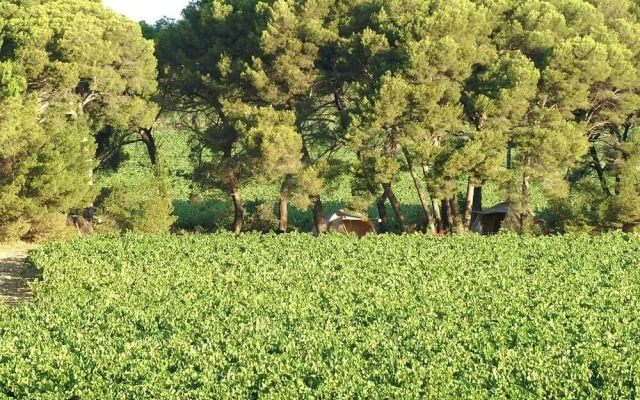 Saint Paul Le Marseillais