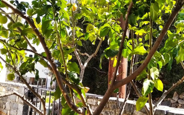 Traditional House in Elounda