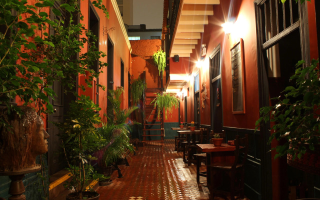 KACLLA, The Healing Dog Hostel