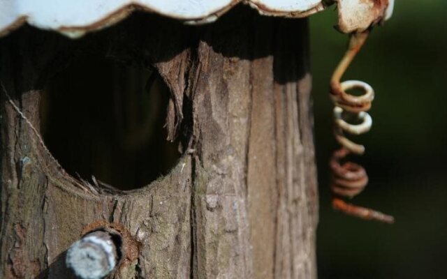 Nature et Confiture