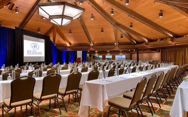 Hilton Chicago / Indian Lakes Resort