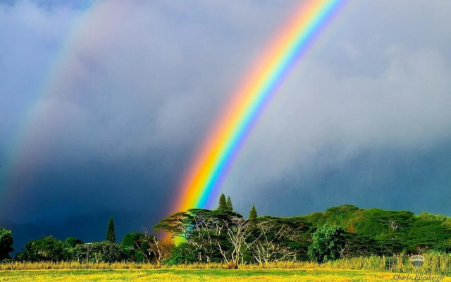 Regency at Poipu Kai #721