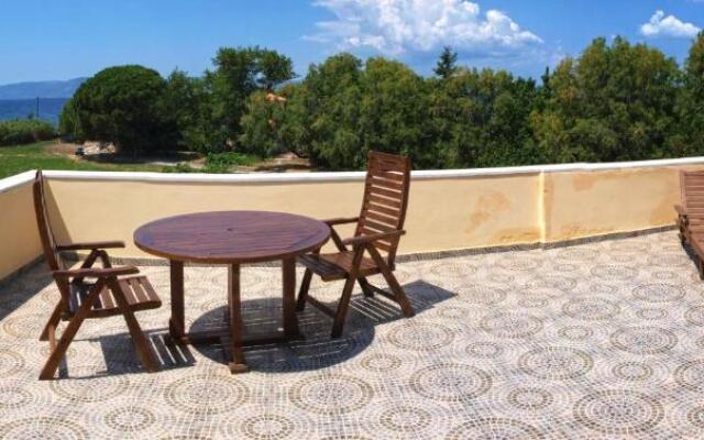 Olive Grove