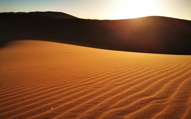 Riad Desert Camel