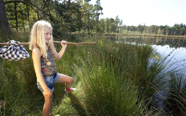 Forest Trails & Swimming Fun