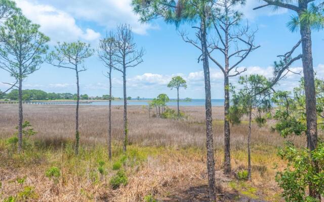 Heron Walk 8985 "tennesea Sunsets"