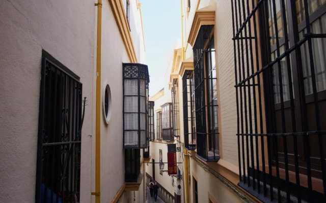 Santa Cruz Pearl by Valcambre