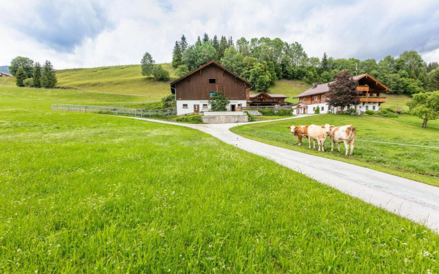 Ferienhaus Widholzhof
