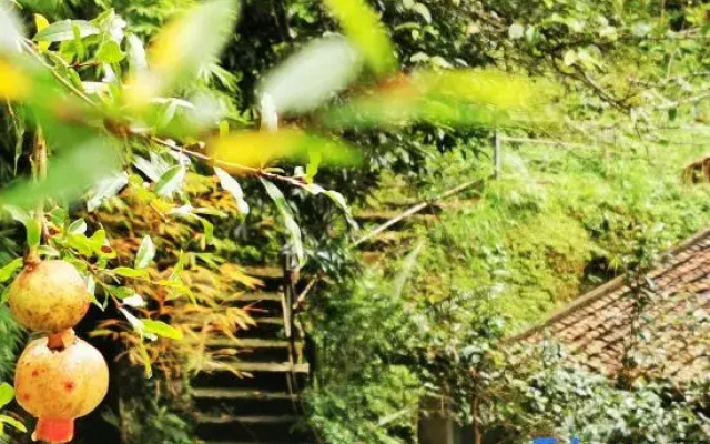 Sanjing Shanju Guesthouse