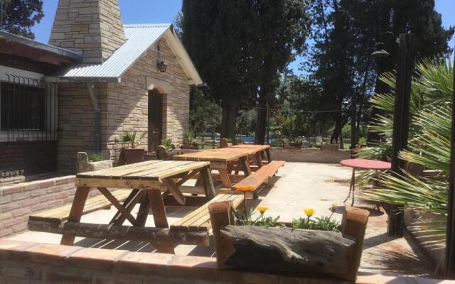 Tree House Hostel