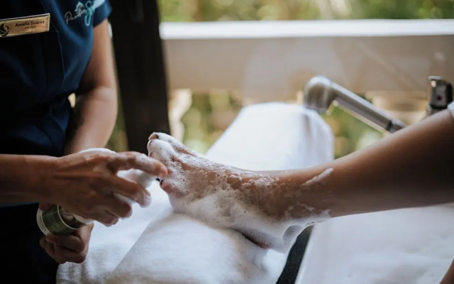 Vista Suites at Parador