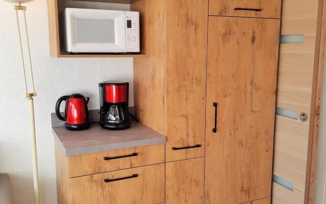 Appartement Les Deux Alpes, 1 pièce, 4 personnes - FR-1-516-30