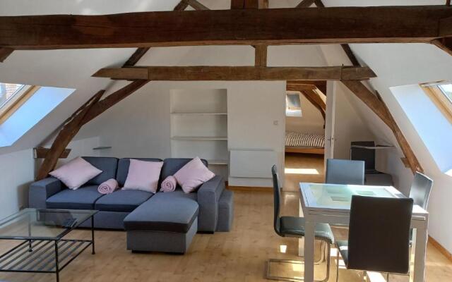 Nid D'aigle de Cande Centre?6 Places?Lumineux?